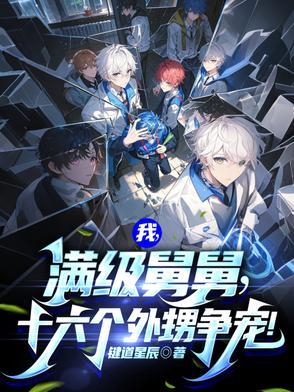 我,满级舅舅,十六个外甥争宠!