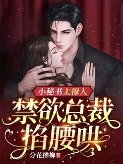 小秘书太撩人,禁欲总裁掐腰哄