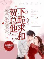 有了新欢后,贺总他下跪求和