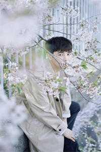 短篇小说玄学:非职业算命,职业捉鬼