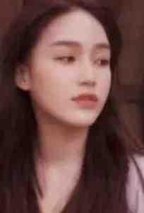 文章精选云禾七年